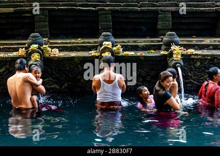 I visitatori balinesi hanno fatto il bagno nella piscina delle ‘sorgenti sacre’ durante UN Festival indù, il Tempio dell'acqua di Tirta Empul, Bali, Indonesia. Foto Stock