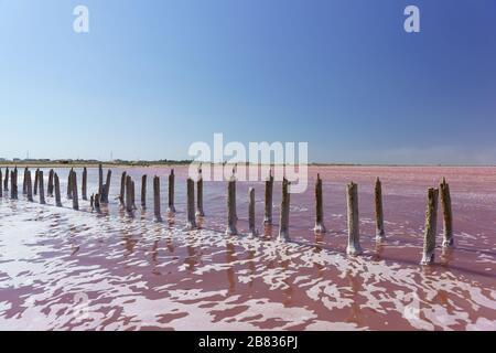 Lago rosa Sasyk Sivash nella parte occidentale della penisola di Crimea vicino a Yevpatoria. I resti di una diga di legno con growths del sale alla base Foto Stock