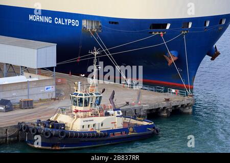 Car Carrier, Porto di Southampton, Hampshire, Inghilterra, Regno Unito Foto Stock