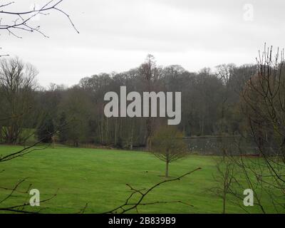 Una passeggiata a Hampstead Heath in una fredda giornata invernale guardando la natura addormentata Foto Stock