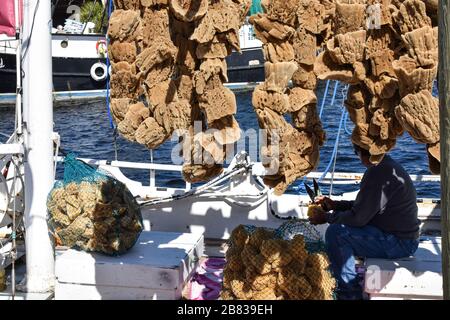 Tarpon Springs, Florida/USA – 15 febbraio 2020 spugne naturali asciuganti e uomo che rifingono spugne su una barca per immersioni a Tarpon Springs, Florida Foto Stock