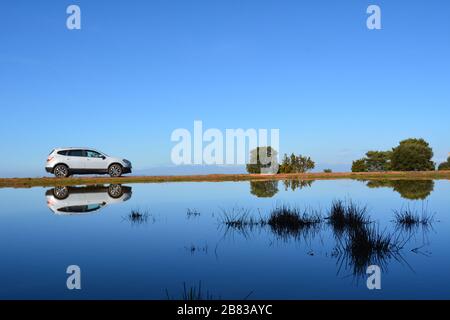 Nissan Qashqai nella natura selvaggia Foto Stock