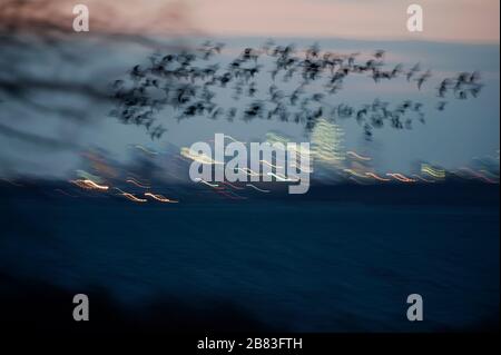 Volo notturno di Brent sullo skyline di New York Foto Stock