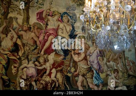 Una vista chiusa della tappezzeria dalla galleria di Saint Cloud prodotta presso la fabbrica di Gobelins nella Lounge dell'ufficiale.Chateau de Fontainebleau.Fontainebleau.Seine-et-Marne.France Foto Stock