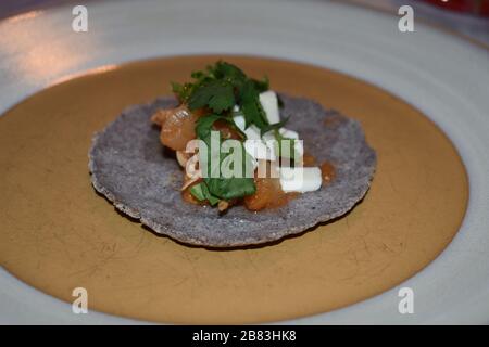 Pollo Tinga su un Blue Corn Taco Foto Stock