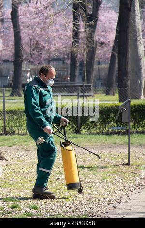 Belgrado, Serbia - 19 marzo 2020: Lavoratore della città verde che fa la disinfezione del parco all'aperto spray per la prevenzione della diffusione del virus Corona Foto Stock