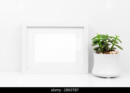 Mock su telaio bianco e pianta succulente in pentola su uno scaffale o scrivania. Schema colore bianco. Orientamento orizzontale della cornice. Foto Stock