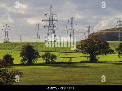 Linee elettriche e tralicci attraverso campi di raccolto Foto Stock