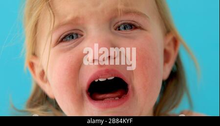 Il bambino di un anno piange da vicino Foto Stock