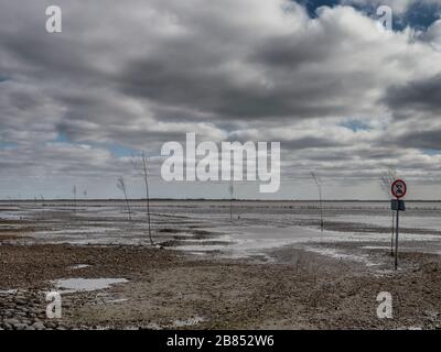 Strada della marea di Beb sul mare di wadden all'isola Mandoe, Esbjerg Danimarca Foto Stock