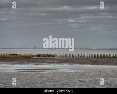 Strada della marea di Beb sul mare di wadden all'isola Mandoe, Esbjerg Danimarca Foto Stock