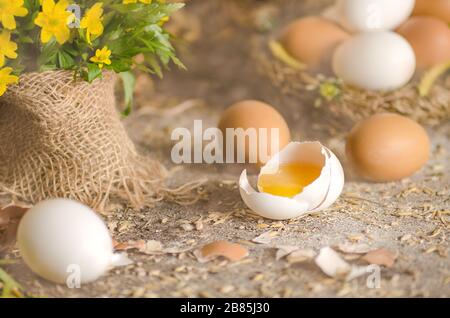 Macro sparare di uova bianche e marroni al nido di fieno in allevamento di pollo Foto Stock