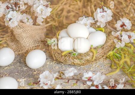 Molte uova di gallina che sono messe su haystack piacevole da cannucce secche Foto Stock