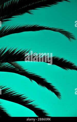 silohuette astratta su sfondo verde Foto Stock