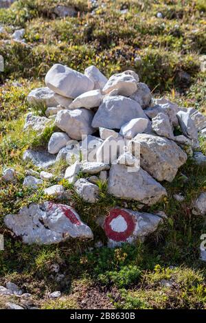 2 blaze rosse sul sentiero di montagna Foto Stock