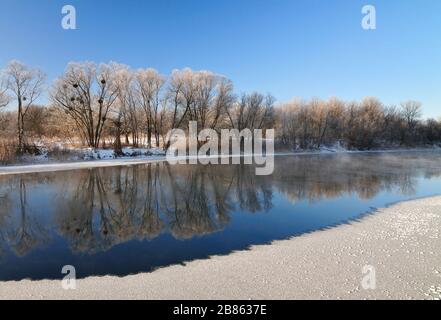 Incredibile panorama di alberi decidui che crescono sulle rive del fiume in una giornata di sole primaverile. Il concetto dell'inizio della primavera e del disgelo. Pubblicità Foto Stock
