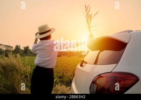 Concetto di donne che viaggiano da sole. Le donne si rilassano all'esterno della macchina bianca e guardano alla bellissima natura. Sta imparando cose nuove nella vita. Foto Stock