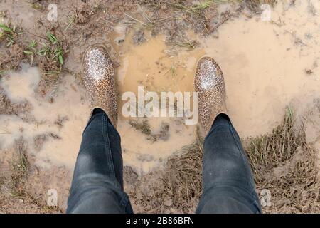 Una vista ravvicinata degli stivali di gomma stampata di animali coperti nell'acqua fangosa Foto Stock