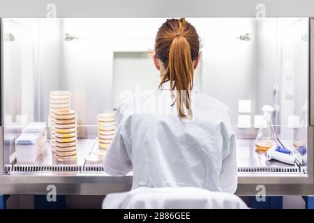 Scienziato femminile che lavora nel laboratorio di ricerca per lo sviluppo di vaccini contro il virus corona. Foto Stock