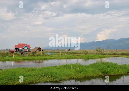 Stilt ospita i giardini galleggianti a Inle Lake Myanmar Foto Stock