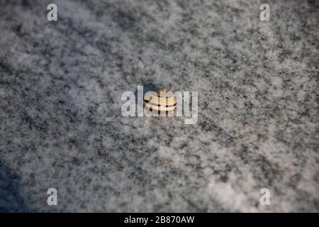 Pietra di granito con grani e va a passo di lumaca Foto Stock