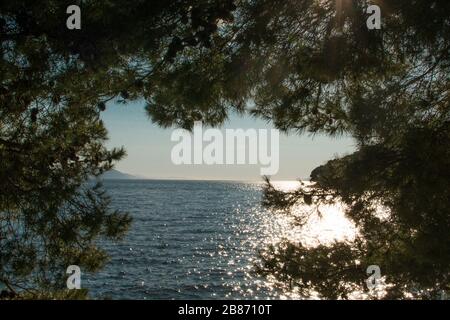 bellissimo tramonto sul mare blu e calmo visto attraverso pini Foto Stock