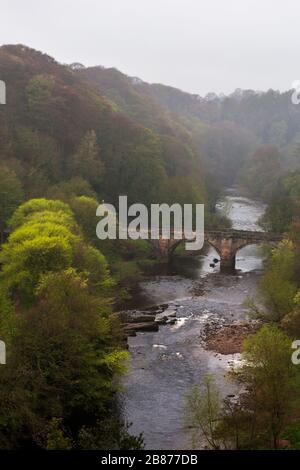 Il fiume Swale e Green Bridge dal Castello, Richmond, North Yorkshire, Inghilterra, Regno Unito in una giornata misteriosa Foto Stock