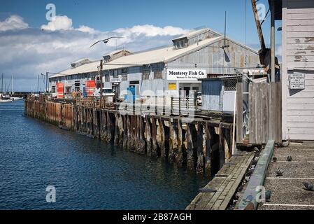 Il magazzino della compagnia di pesce di Monterey sul Molo Municipale. Foto Stock