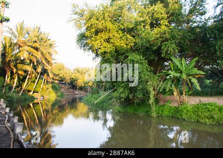 Ammira il paesaggio e il movimento delle acque del canale nel giardino agricolo e nella piantagione di noci di cocco a Samutsongkram, Thailandia Foto Stock
