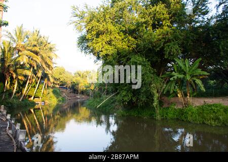 Ammira il paesaggio e il movimento delle acque del canale nel giardino agricolo e nella piantagione di noci di cocco a Samutsongkram, Thailandia Foto Stock