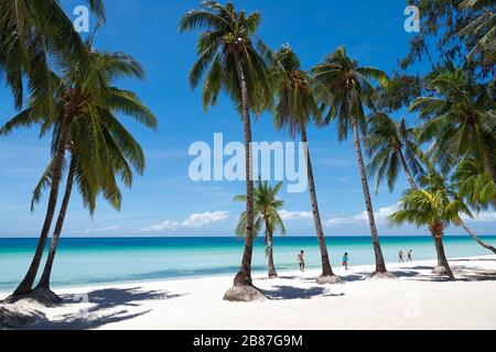 Boracay Island, provincia di Aklan, Filippine: Persone che camminano lungo la famosa spiaggia bianca quasi vuota con alberi di cocco allineati Foto Stock