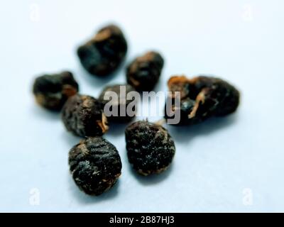 Un'immagine di semi neri Foto Stock