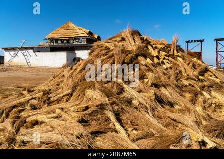 Tanto paglia preparata per il tetto a Eswatini, in Africa Foto Stock