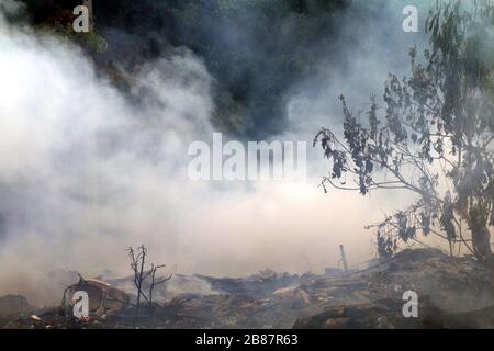 fumo di ustione molto rifiuti inquinamento da rifiuti polvere, fumo generato dalla combustione rifiuti sullo sfondo della foresta Foto Stock