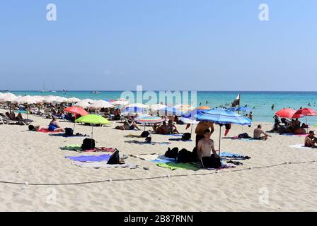 Playa es Arenals, Formentera, Spagna Foto Stock