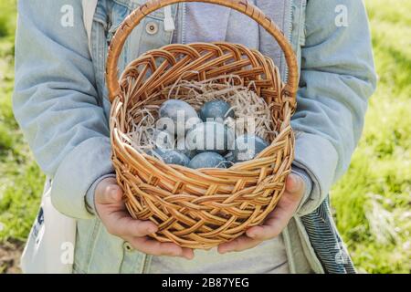 Le mani adolescenti dei bambini tengono un cesto di vimini marrone fatto a mano con uova di Pasqua testurizzate blu. Il concetto della festa primaverile e della caccia alle uova Foto Stock