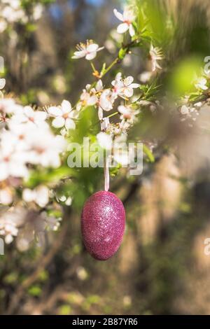 Rosa artificiale glitter uovo di Pasqua appeso sul ramo fiorito di un albero di primavera. Pasqua primavera vacanza concetto Foto Stock