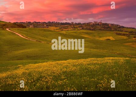 Toscana, panoramica paesaggistica su Pienza in Val d'Orcia, prelevata dai campi in fiore al tramonto dopo la pioggia Foto Stock