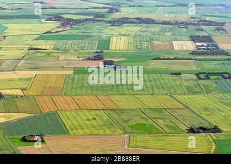 Vista aerea sui terreni agricoli che mostra i percorsi dei trattori in parcelle agricole / appezzamenti di terreno con colture di cereali e campi di grano / campi di mais in estate Foto Stock