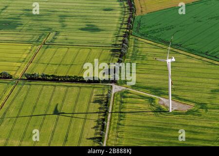 Vista aerea su terreno agricolo con turbina eolica tra parcelle agricole / appezzamenti di terreno con colture di cereali e campi di grano / campi di mais in estate Foto Stock