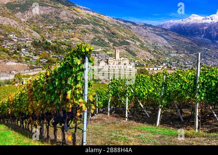 Imponente castello di Sarre e vigneti nella regione Valle d’Aosta, Italia. Foto Stock