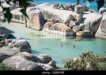 Città del Capo, Sudafrica - Nowember 30, 2019 - turisti che nuotano sulla spiaggia di Boulders vicino a Simons Town Foto Stock