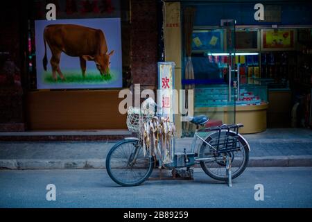 Il pesce si asciuga su una bici dei pescatori in un hutong/backstreet di Shanghai, Cina Foto Stock