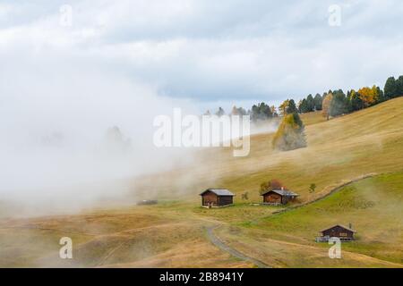 Una vista nebbiosa dei prati delle Dolomiti dopo la pioggia Foto Stock