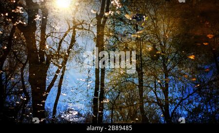 Riflessioni in pozzanghere o lago di edifici, barca o alberi e lampade da strada. Foto Stock