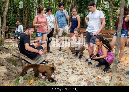 Gruppo turistico e la Fondazione Maikuchiga scimmia, santuario delle scimmie a Loreto Mocagua nella foresta pluviale Amazzonica, Leticia Amazon, Colombia. Sud America. Foto Stock