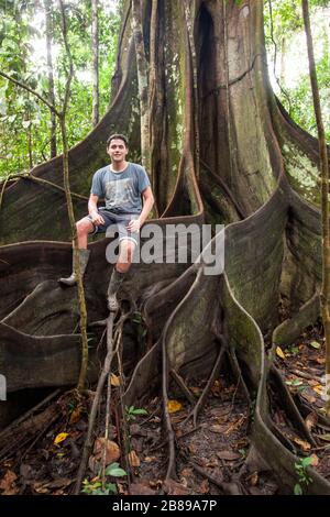 Ragazzo seduto sulle radici di rinforzo del gigante albero Oje nella foresta amazzonica Rain, dando un senso di scala. Perù, Sud America. Foto Stock