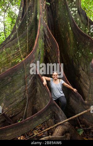 Giovane donna in piedi nelle radici di rinforzo del gigante albero Oje nella foresta amazzonica Rain, dando un senso di scala. Perù, Sud America. Foto Stock