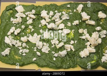 Spinaci e formaggio ammuffito su pasta di lasagne crude in teglia Foto Stock