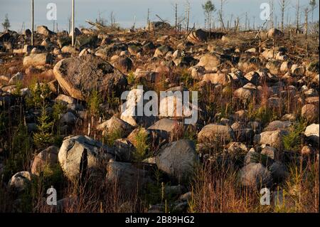 Lessebo, Contea di Kronoberg, Svezia. 12 Dicembre 2013 © Wojciech Strozyk / Alamy Stock Photo Foto Stock